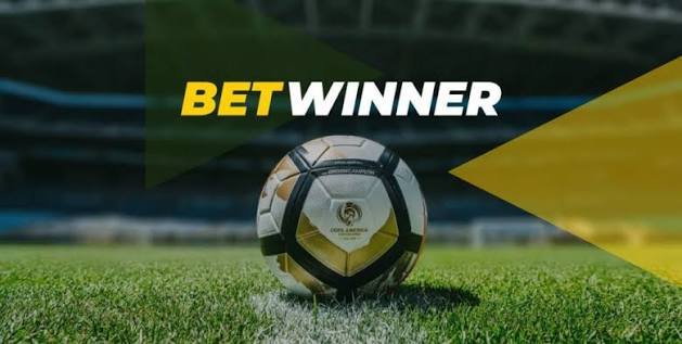Unlocking the Thrills of BetWinner Sportsbook Your Ultimate Guide