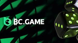 Your Ultimate BC.Game Bonus Guide