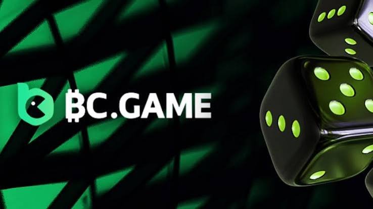 Experience the Excitement BC.Game Crypto Casino Review
